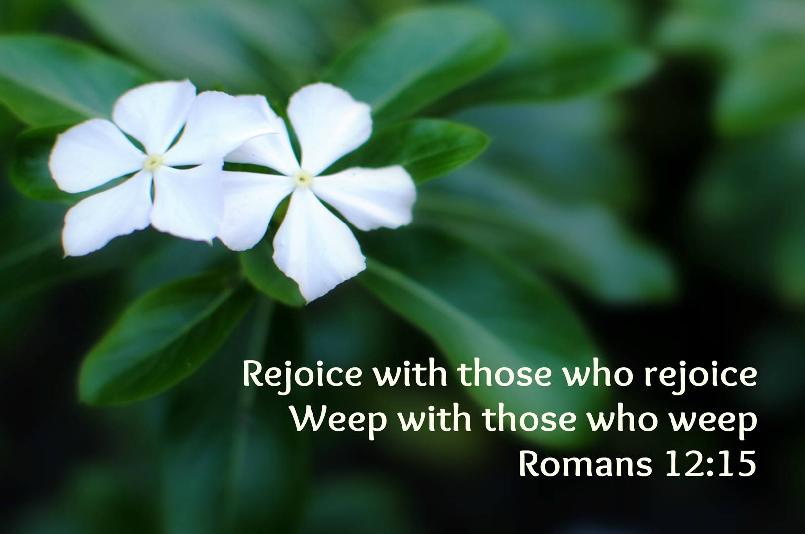 Rejoice And Weep With Others By Bro. Edet Daniel